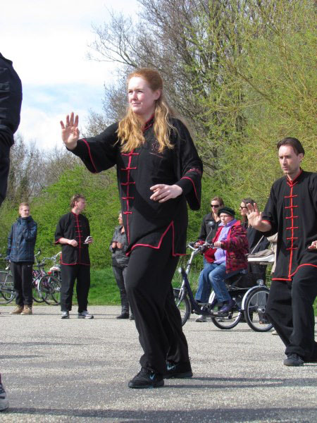 The Netherlands World Tai Chi and Qigong Day